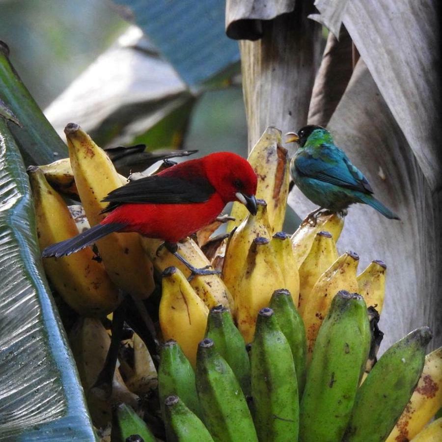 Chale Rio Dos Meros Villa ปาราตี ภายนอก รูปภาพ